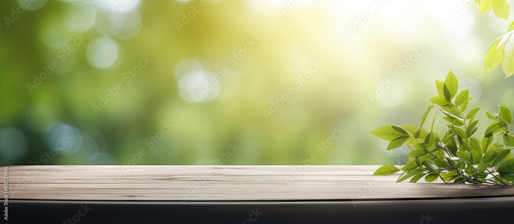 Poster A copy space image of a tabletop with a blurred nature as the background