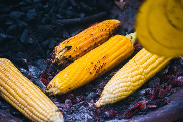 Grilled corn on cobs in a cauldron on the fire.