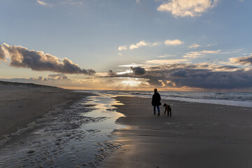 Naklejka premium Female with her pet dog walking along the shoreline of a beach at sunset