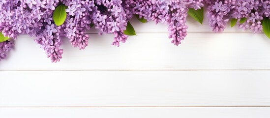 A stunning lilac flower with a white wooden background frame creates a captivating copy space image