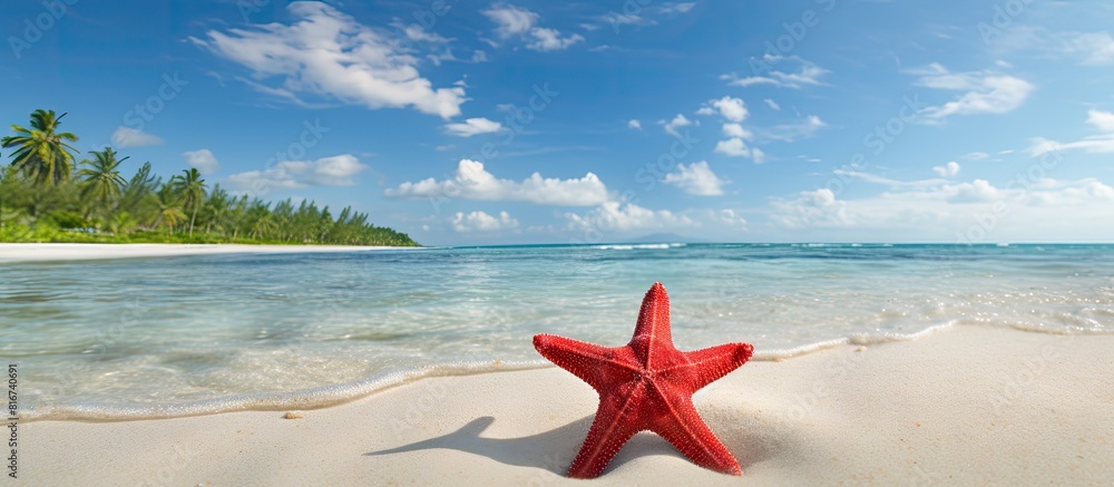 Poster A vibrant red starfish rests on a beautiful tropical beach creating a picturesque scene ideal for copy space images