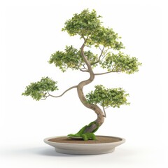 A realistic bonsai tree isolated on a white background for graphic design purposes