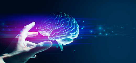 doctor hand holding a holographic of human brain in healthcare medical theme; a technology for science neuron cell network