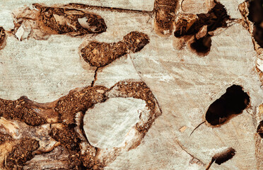 Old natural wooden shabby background close up