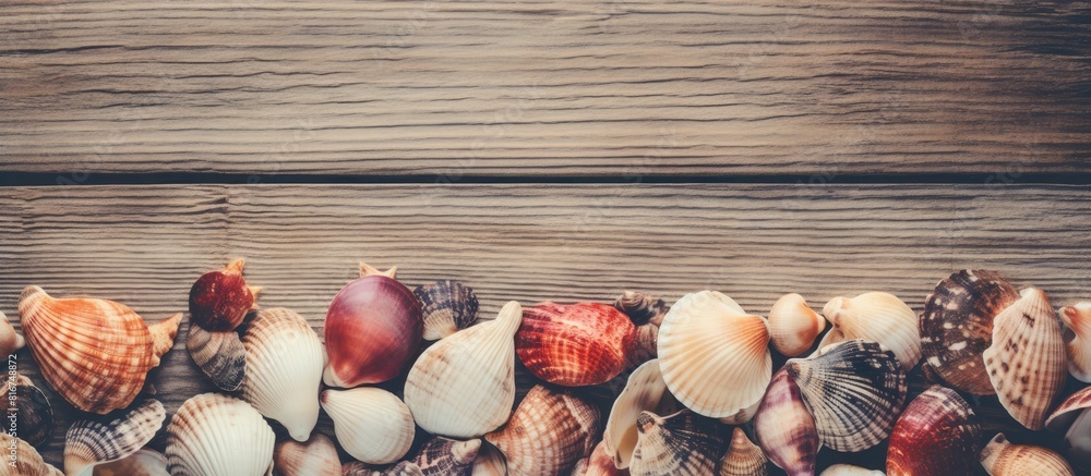 Poster a top down view of sea shells on a wooden background in a retro style with a toned color scheme that