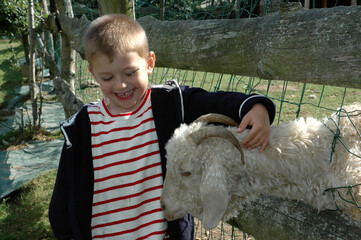 Enfant avec moutons