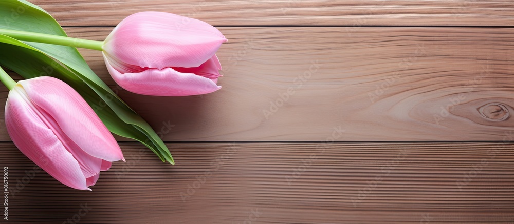Poster a pink tulip flower on a wooden background with plenty of space for adding text or images. copyspace