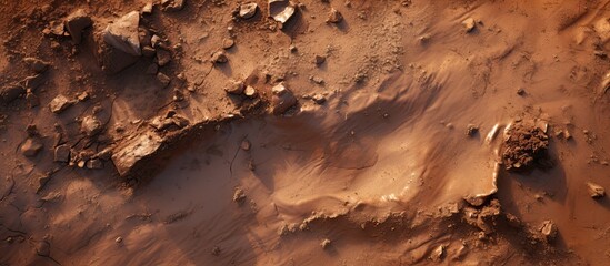 A muddy footprint is left behind providing a significant visual element within the image. Copyspace image