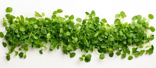 The image features a white background with pea shoots arranged in a layout providing ample space for additional content