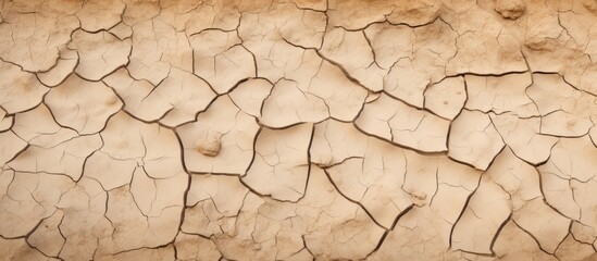 During the dry season the cracked clay ground displayed no signs of water creating a desolate and arid copy space image