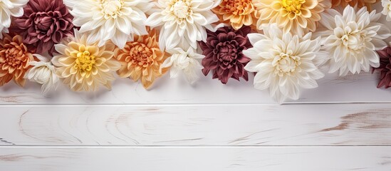 Autumn chrysanthemum flowers on a white wooden background with copy space creating a beautiful floral wallpaper and setting a serene autumn bouquet lifestyle