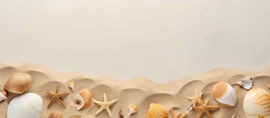 Summer time concept with sea shells and starfish on the beach sand white background free space for your decoration Top view. copy space available