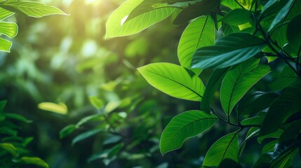 Vibrant green foliage background with sunlight filtering through the leaves