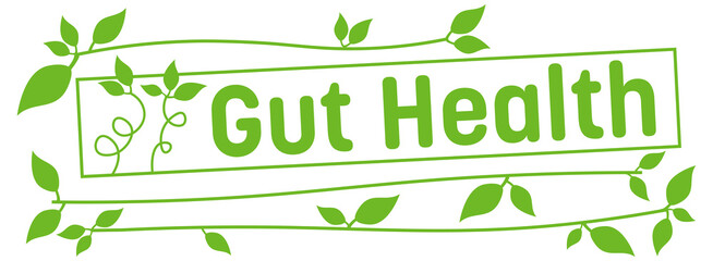 Gut Health Green Leaves Lines Horizontal Box Text 