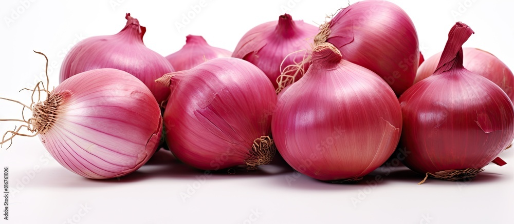 Poster food concept on white background group of white and red onions close up copy space isolated