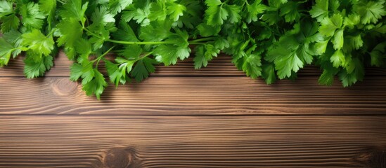 Bunch of fresh green parsley leaves on light wooden table closeup Space for text. copy space available