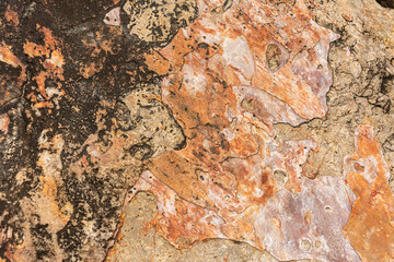 Rock eroded by wind and water
