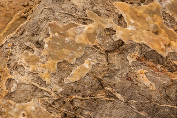Rock eroded by wind and water
