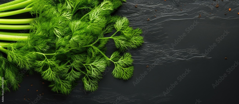 Poster fresh green bunch of dill on black slate background with free copy space for text