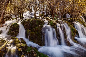 Scenic landscape of woodland featuring a cascading waterfall