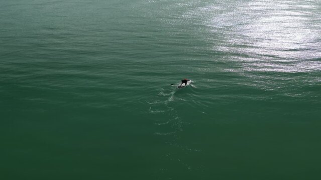 High drone footage of an adult man stand-up paddle-boarding in the ocean on a sunny day