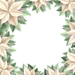 Naklejka premium Poinsettia flowers with leaves. Christmas frame square, vintage. Hand drawn watercolor illustration traditional plants for winter background. Isolated template for card, invitation, New Year, print.