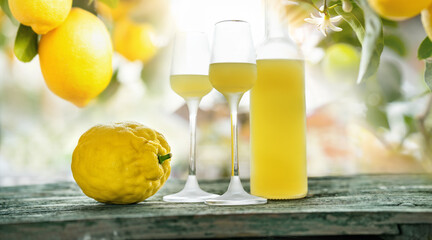 Bottle limoncello and two glasses standing on weathered wooden table. Background with lemon trees...