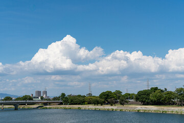 Fototapeta premium 夏の青空と白い雲