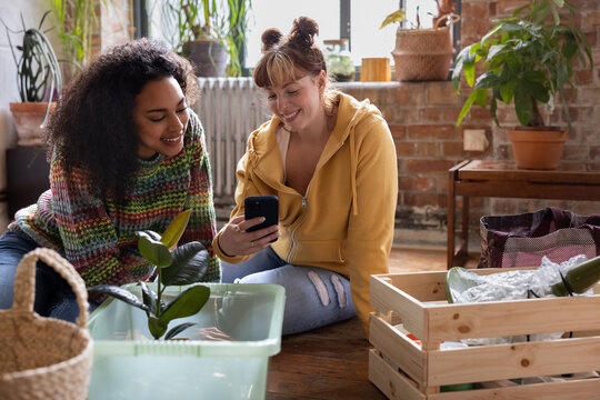 Two friends looking at smartphone sitting with moving boxes