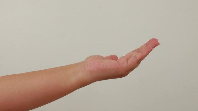 "stranglehold, hand 
wrist - Fat Womans human anatomy & Body Parts. closeup human body isolated on white background studio"