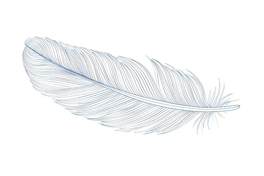 recommend clip art: A feather is shown in a blue and white color scheme. The feather is drawn in a very detailed and intricate manner, with many small dots and lines