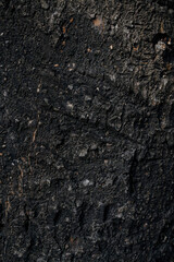 wooden texture background