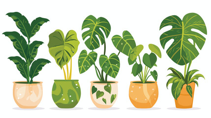 Potted homeplants flat vector illustration. Natural p