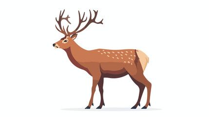Red deer with antlers wild forest animal. Male adult