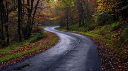 Fototapeta premium Hilly Road