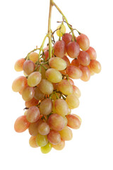 Bunch of organic pink grapes isolated on white background.