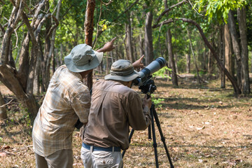 Rear view two birdwatchers searching for bird with binocular on tripod in nature park