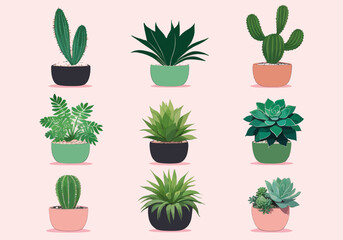 a collection of potted plants on a pink background