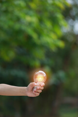 light bulb against nature, icons