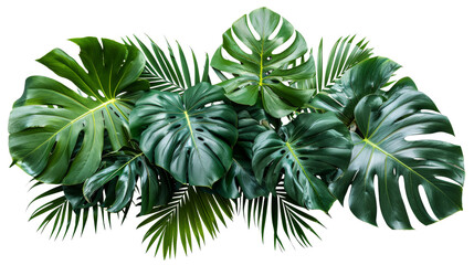 Beautiful composition with fern and other tropical leaves on white background. Banner design	