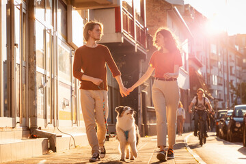 Happy married couple is walking around city with their Aussie dog. Sunset light in background