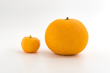 Orange fruit and mini orange fruit isolated on white background
