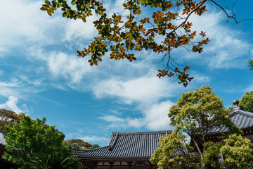 日本の風景、青空の中の歴史