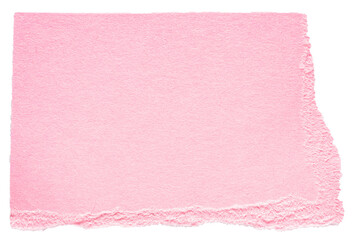 Isolated cut out torn piece of blank pink paper note cardboard with texture and copy space for text...