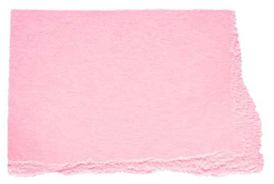 Isolated cut out torn piece of blank pink paper note cardboard with texture and copy space for text on white or transparent background
