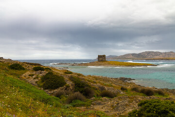 Vista de la playa de La Pelosa en Cerdeña, Italia, un paisaje costero con vegetación y formaciones rocosas, con la histórica torre de La Pelosa ubicada en una pequeña isla en el fondo. 