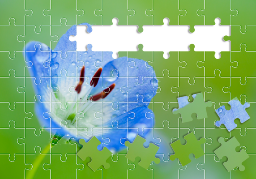 ジグソーパズル調　ネモフィラ　花びら　イメージ素材