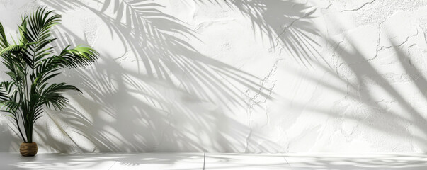 Elegant Palm Leaf Shadows on Olive Green Wall. Trendy Backdrop for Product Presentation