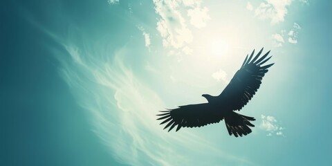 Soaring high above the clouds