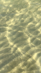 Clear shallow water with sunlight creating beautiful patterns on the sandy bottom. A tranquil and refreshing natural scene